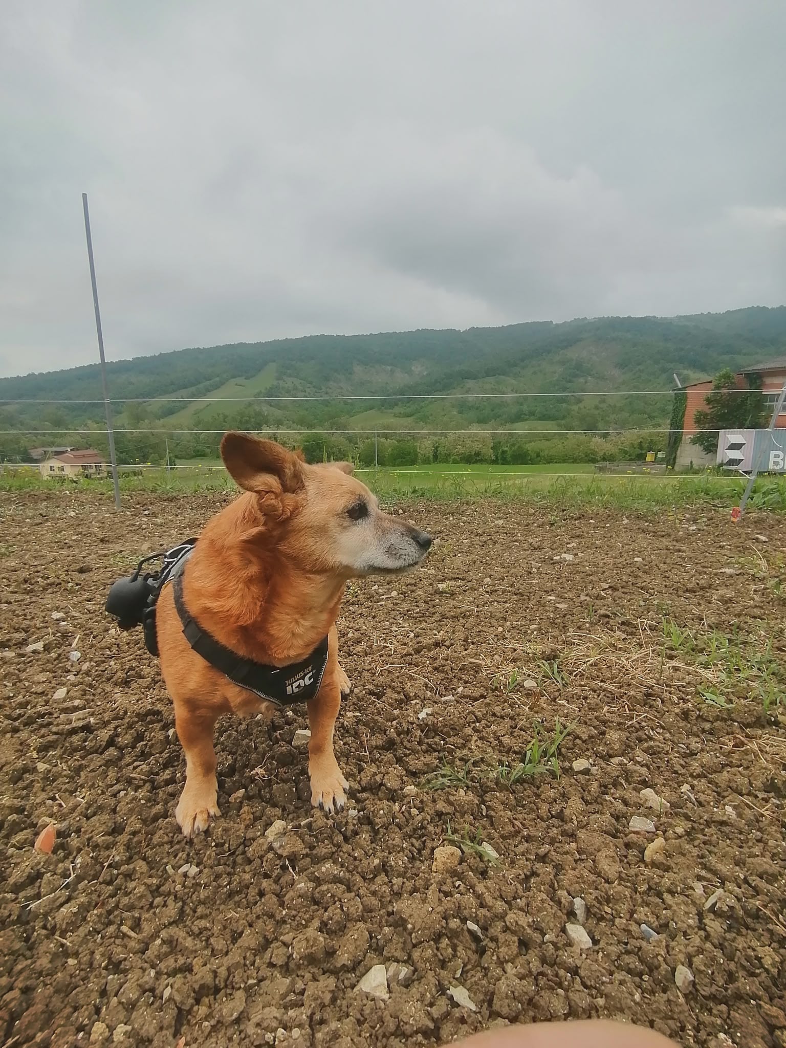 Taison sul campo con l'Appennino sullo sfondo